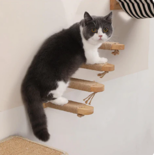 Cat Climbing Steps Deluxe - Wall - Mounted With Sisal Rope