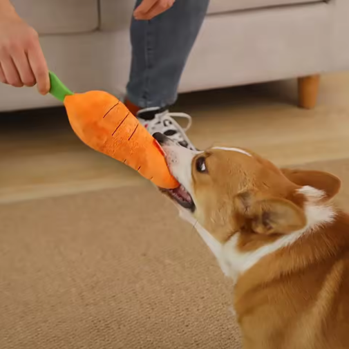 Plush Carrot For Dogs - Interactive Play And Cuddly Toy
