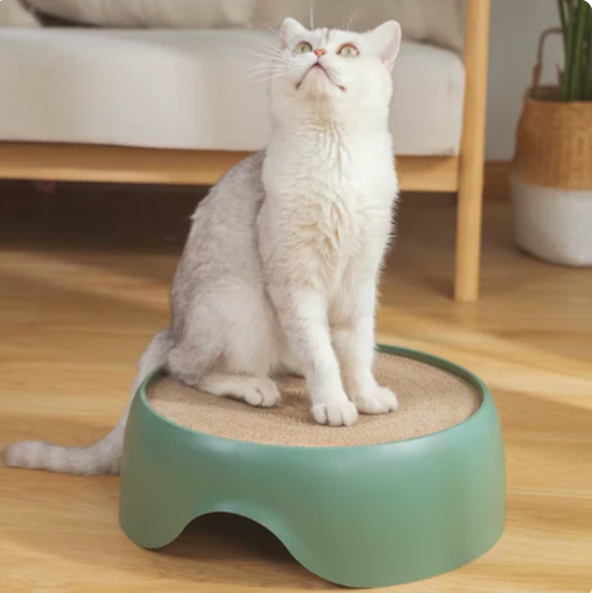 Multifunctional Cat Bed With Scratching Surface And Lying Cushion
