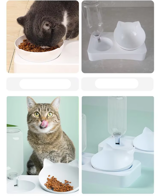 Automatic Food And Water Dispenser For Pets