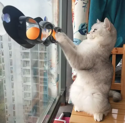 Window Cat Toy - Interactive Play Track With Movable Balls