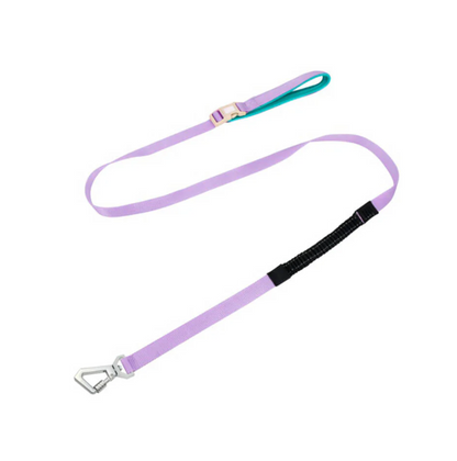 Anti - Pull Dog Harness With Adjustable Lead