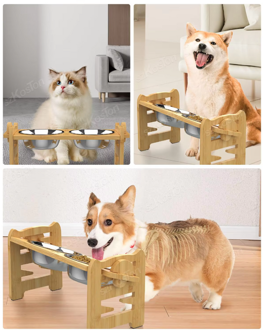 Elevated Feeding Station For Pets  Bowls