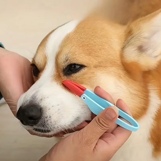 Tick Tweezers For Pets - Precise, Gentle Removal