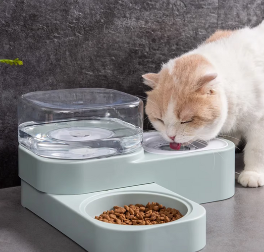 Food And Water Dispenser For Pets With Drip Protection