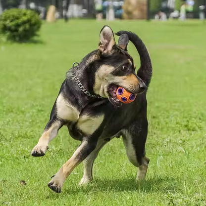 Interactive Dog Toy Ball - With Music And Light - Up Function For Dogs