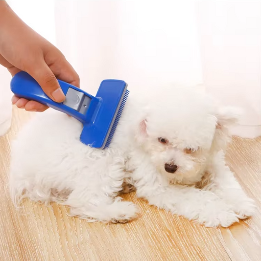 Self - Cleaning Pet Brush With Silicone Bristles For Effortless Grooming