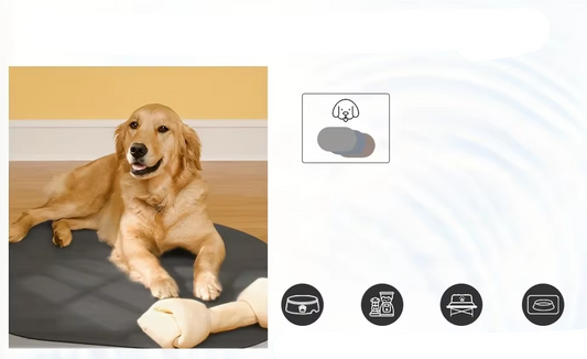 Silicone Feeding Mat For Pets - Waterproof, Non - Slip Feeding Mat For Dogs Cats