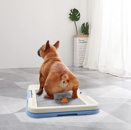 Dog Wc Indoor - Clean Dog Toilet With Non - Slip Mat For Puppies Small Dogs