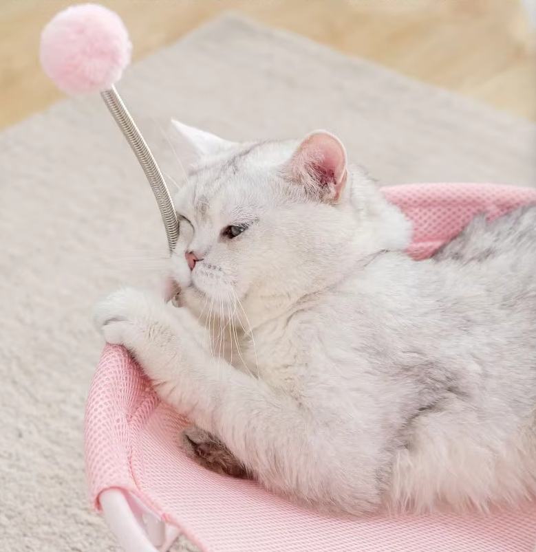 Cat Hammock Round - Comfortable Cat Lounger With Play Balls Sturdy Frame