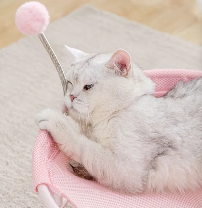 Cat Hammock Round - Comfortable Cat Lounger With Play Balls Sturdy Frame