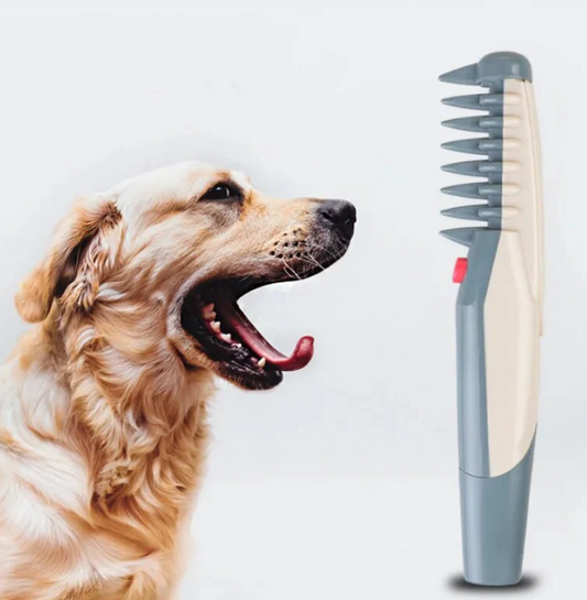 Electric Hair Clippers For Dogs And Cats