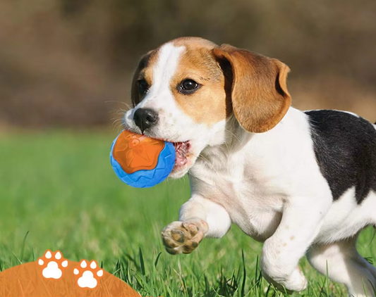 Robust Dog Toy Set - Interactive Bite And Squeak Toys