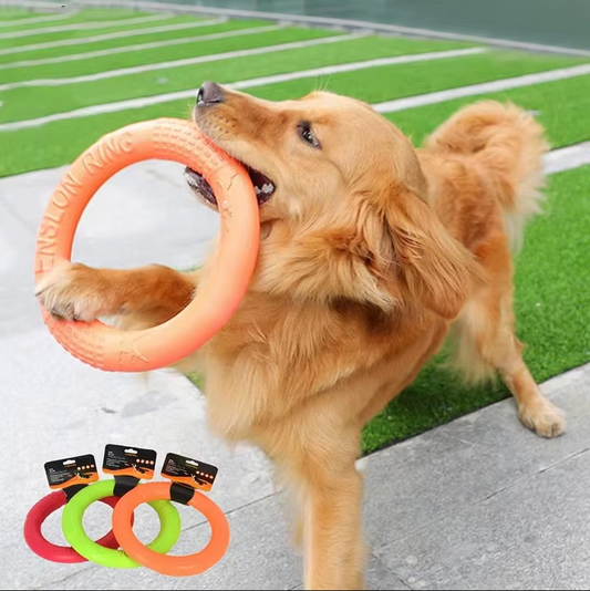 Robust Throwing And Teething Ring - Interactive Dog Toy For Active Playtime Fun