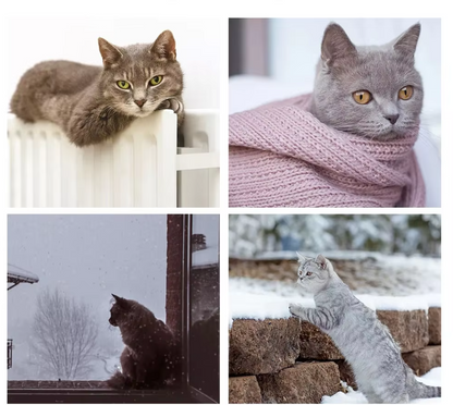 Cat Hammock - Soft Stable Window Lounger For Cats
