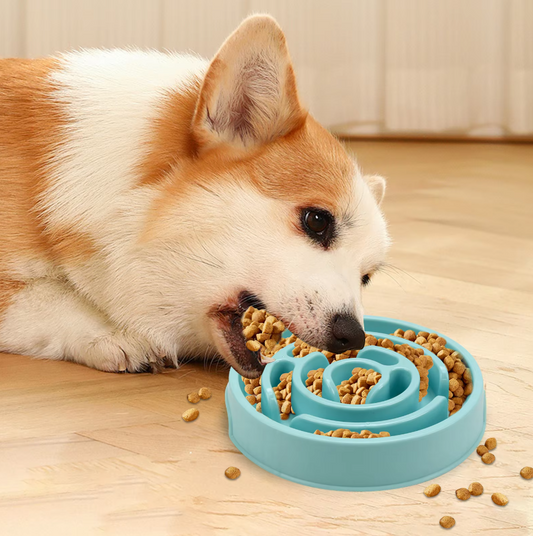 Slow Food Bowl For Dogs