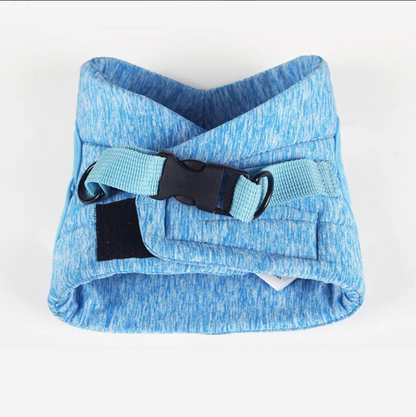Cat Harness With Lead