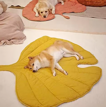 Double - Sided Pet Pad
