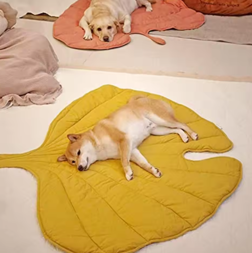 Double - Sided Pet Pad