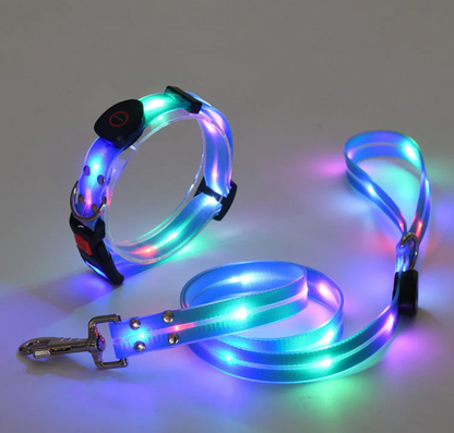 Led Dog Collar With Lead For Safe Walks