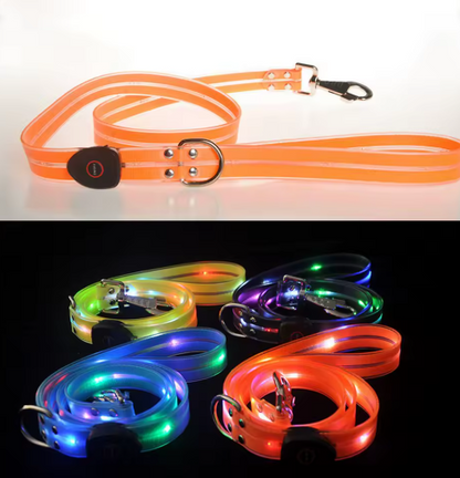 Led Dog Collar With Lead For Safe Walks