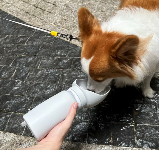 Foldable Water Bottle For Pets With Integrated Bowl