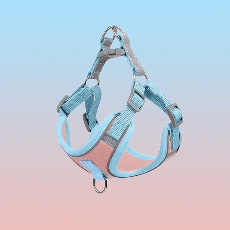 Reflective Dog Harness Set For Dogs