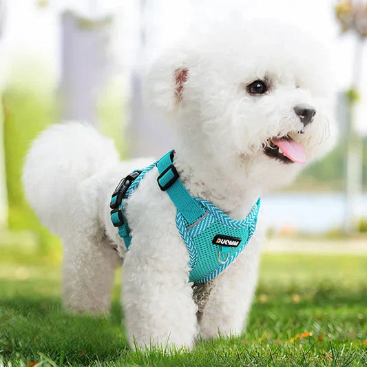 Reflective Dog Harness With Lead For Small Dogs