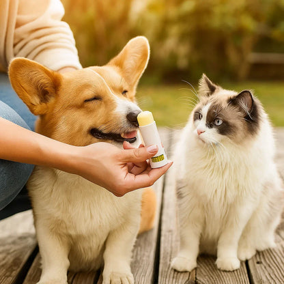Nourishing and protective ointment stick for paws and nose