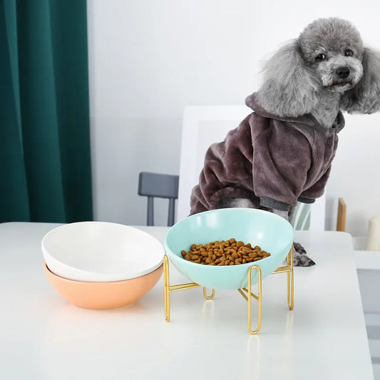 Elevated Food Bowl For Dogs And Cats - Stylish Design With Metal Stand