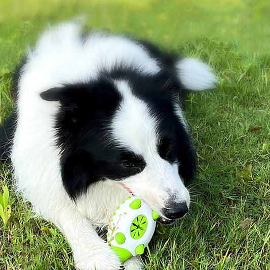 Interactive Dog Chew Toy With Treat Dispenser – Fun & Engaging Play Toy For Dogs