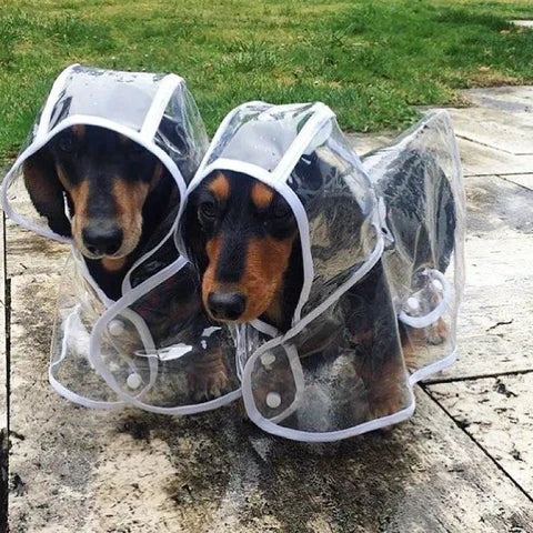 Transparent Waterproof Dog Rain Jacket