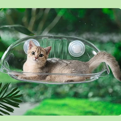(Too Expensive) Window Bowl Cats