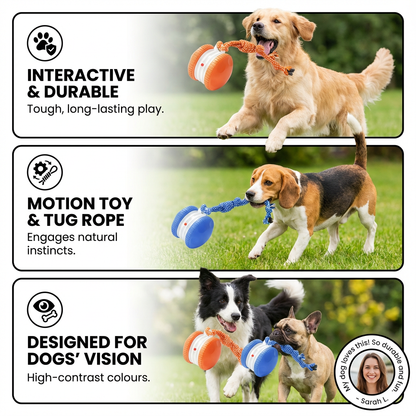 Interactive & Durable Dog Ball – Motion Toy with Tug Rope in Dog Colours