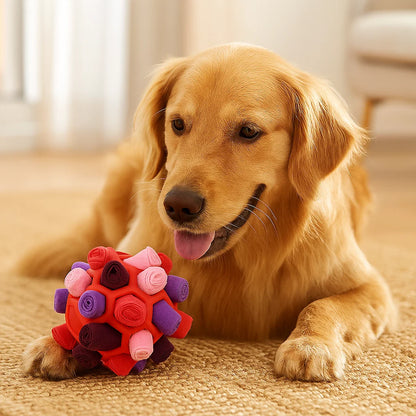 Sniffer Ball - Interactive Treat Toy