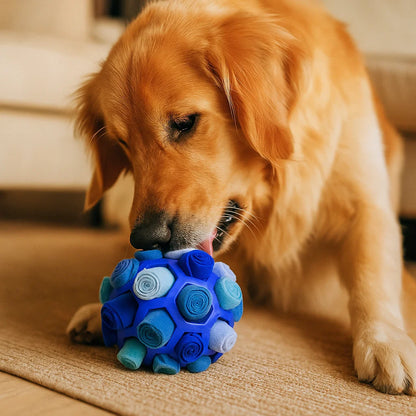 Sniffer Ball - Interactive Treat Toy