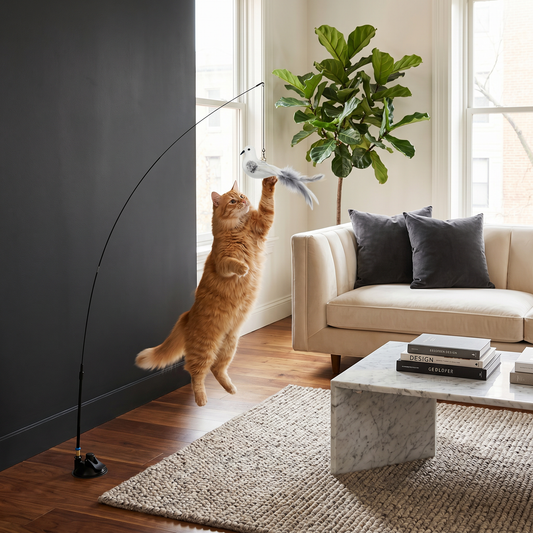 Bird Game - Interactive Cat Toy