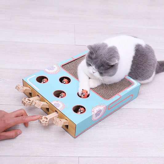3in1 Play Box For Cats