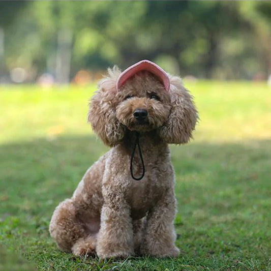 Uv Protection Dog Sun Hat