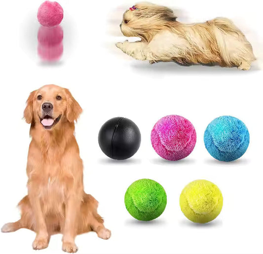 Self - Rolling Dog Toy