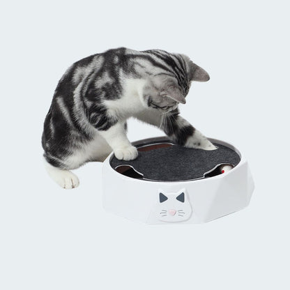 Interactive Mouse Hide - And - Seek Game For Cats