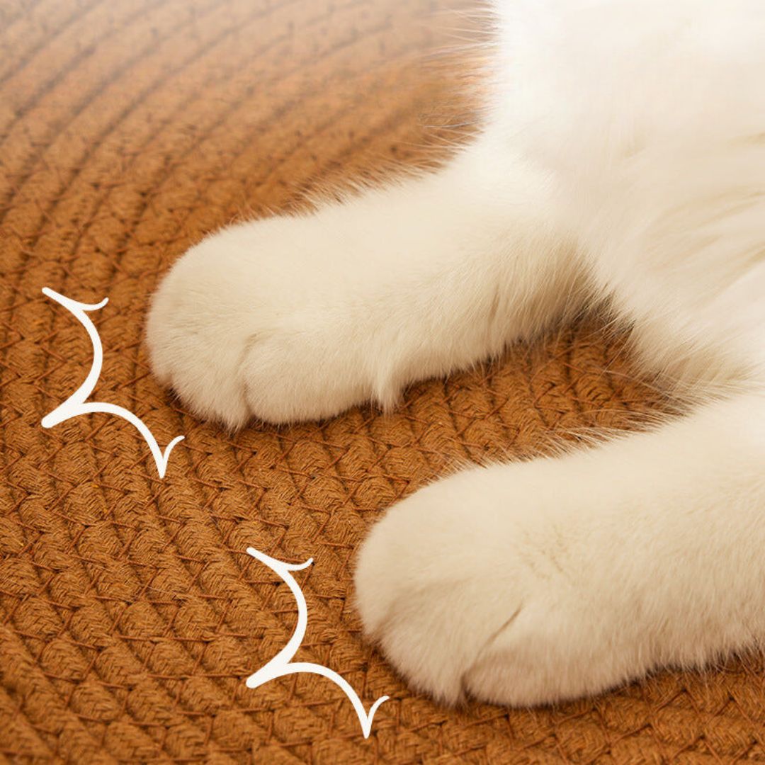 Hand - Woven Rattan Cat Scratching Bed