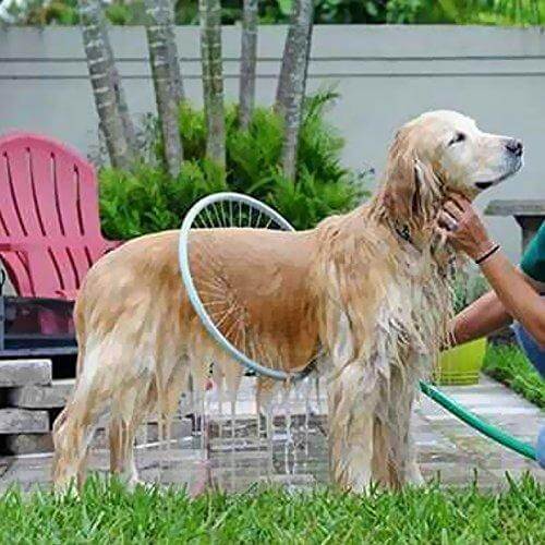 360 ° Shower Tool For Pets