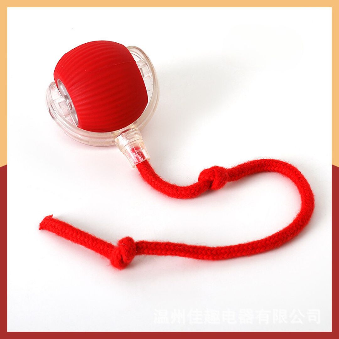 Interactive Play Ball With Tail