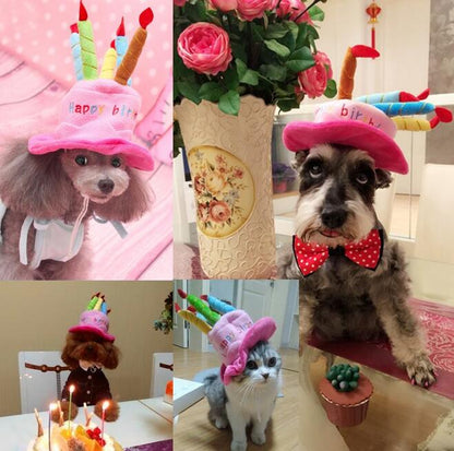Party Hat For Dogs And Cats