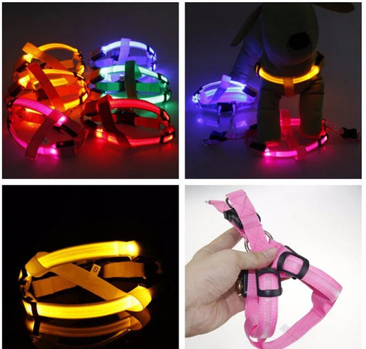 Dog Harness With Light - Up Function