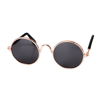 Fashionable Cat Glasses