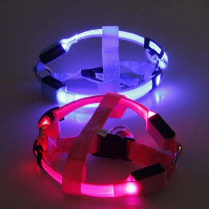 Dog Harness With Light - Up Function