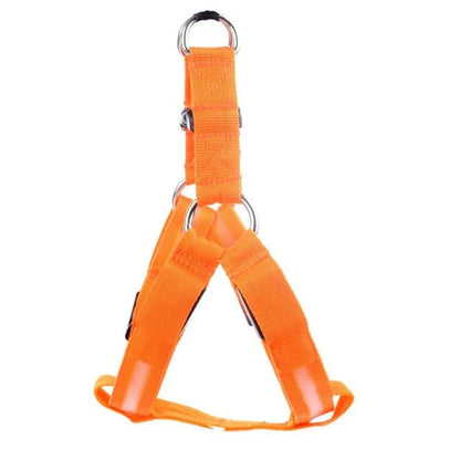 Dog Harness With Light - Up Function