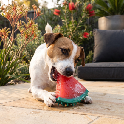 Cooling Fruit Dog Chew Toy